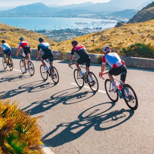 Team of bicyclists on road near ocean