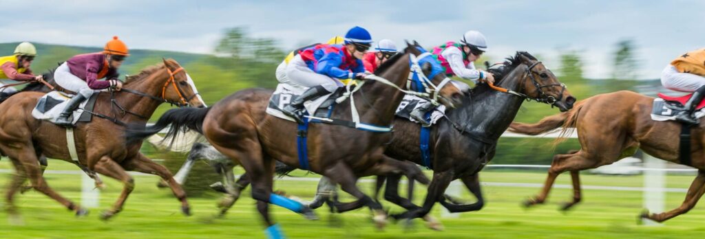 Horses racing