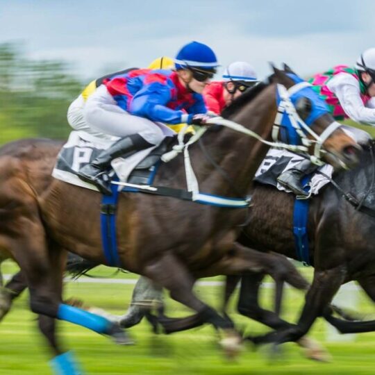 Horses racing