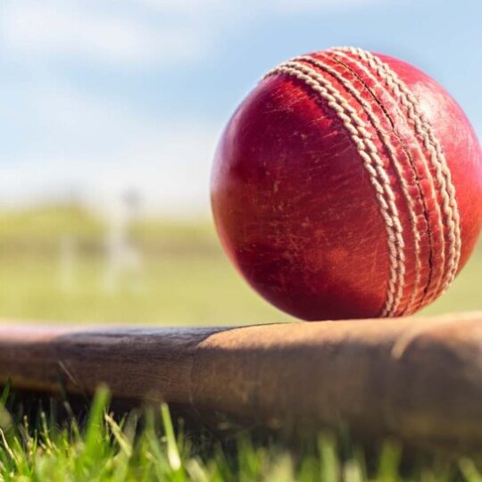 cricket bat and ball